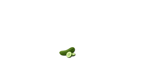 logo1