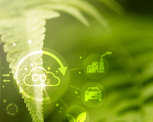 Carbon Footprint Reduction