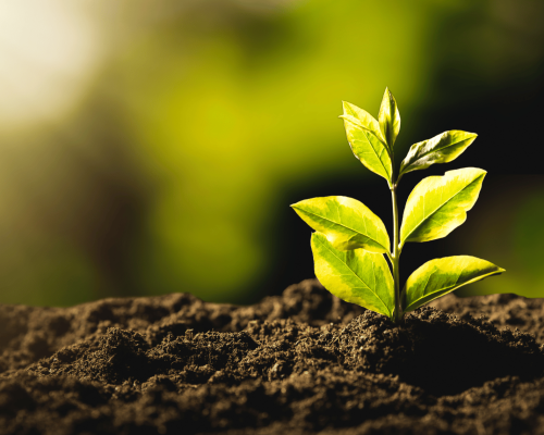 Sustainable Farming